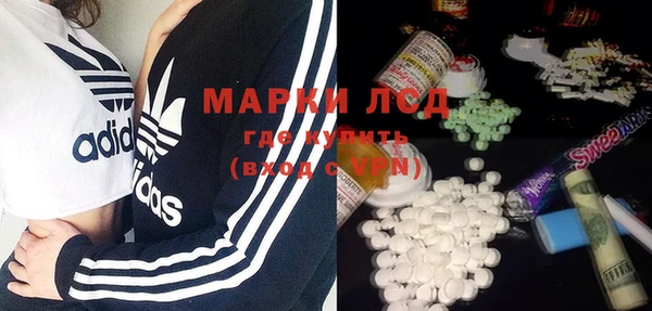 ПСИЛОЦИБИНОВЫЕ ГРИБЫ Лихославль