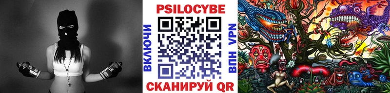 Купить  Камешково  Галлюциногенные грибы GOLDEN TEACHER 
