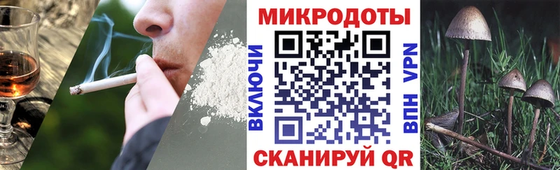 Галлюциногенные грибы Psilocybine cubensis Камешково